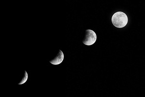moon-8006703_1280.jpg