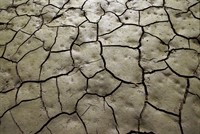 mud-2174607_1280.jpg